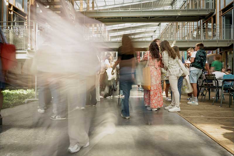 Dossier - Dispositifs de lutte contre les violences sexistes et sexuelles