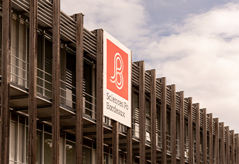 Sciences Po Bordeaux renforce ses liens avec la Jamaïque